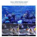 Led Coral Light High Watt Coral Reef Aquarium Lighting for Saltwater Factory